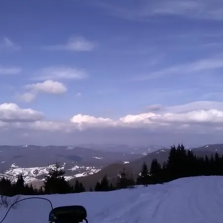 In Forest Шале