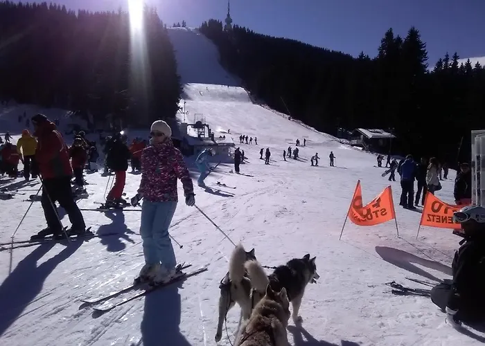 شاليه 2 Bedroom, 2 Showeroom Suitable For A Family Skication And Remote Working *